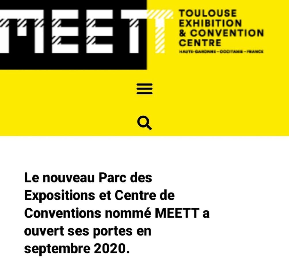 :) Spacieux T4 Aeroport, Ensoleille, Deco Soignee Blagnac Exterior photo